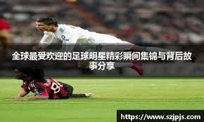 植物大战僵尸杂交版2.1版怎么设置全屏 全屏设置方法分享